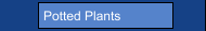 Potted Plants